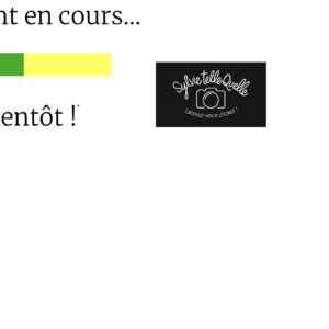 stq changement en cours